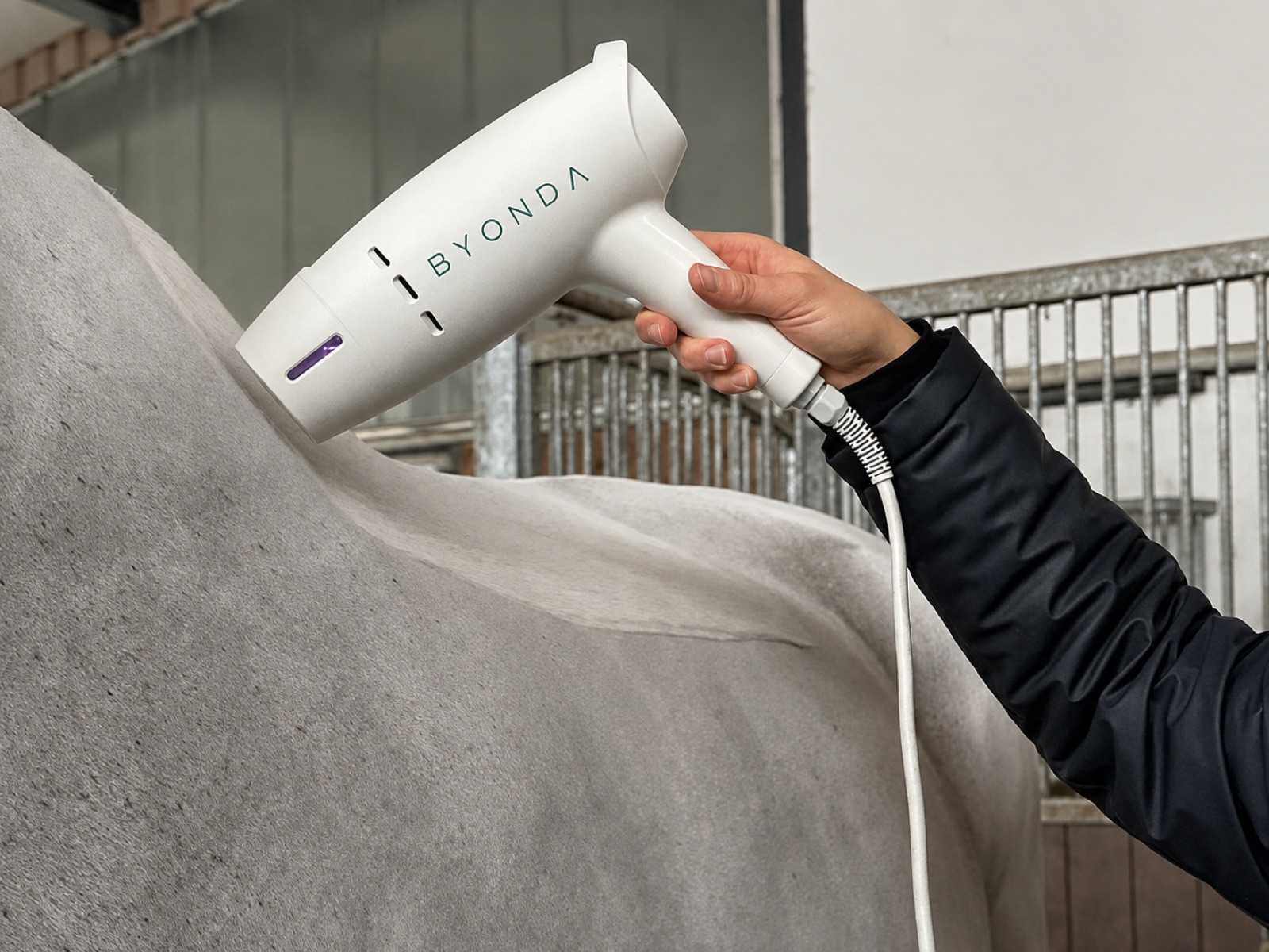 The BYONDA handpiece held clear of a horse's back during a stable-side session